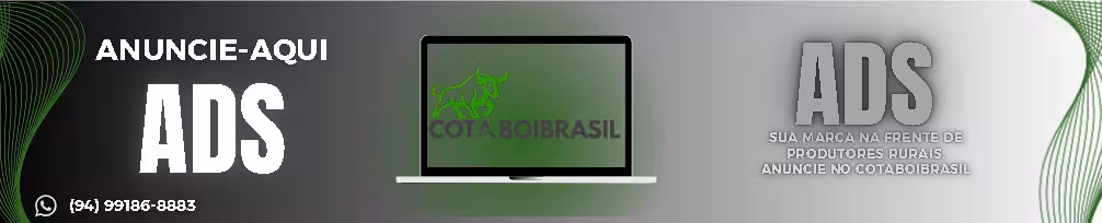 banner AVIF